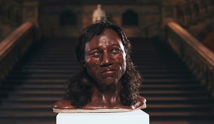 Photo: Model of the head of Cheddar Man. The model has dark skin, blue eyes and long dark hair.