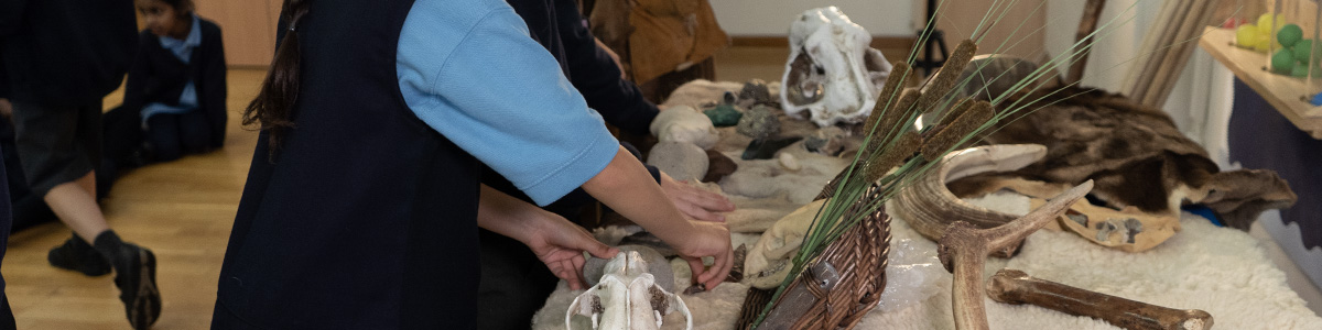 A child looking at a prehistoric display that has skulls and artefacts at a Marvellous history prehistoric school visit