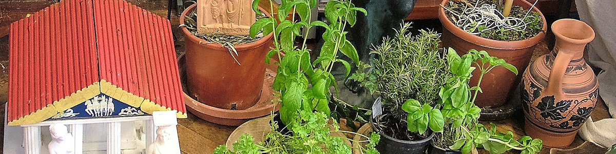 Display of various herbs part of a Greek workshop