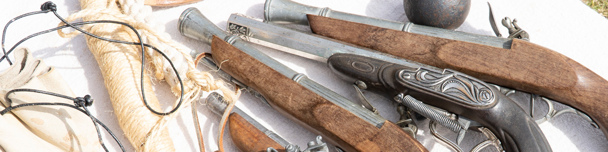 Display of various guns