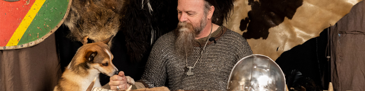 A visitor dressed as a Viking giving a treat to a Norwegian Lundehund, during a Viking zoom workshop